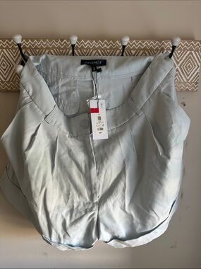 Dynamite Pale Blue Pleated Shorts NWT